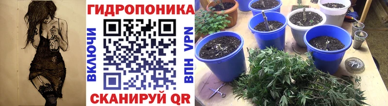 hydra зеркало  Светлогорск  МАРИХУАНА LSD WEED 